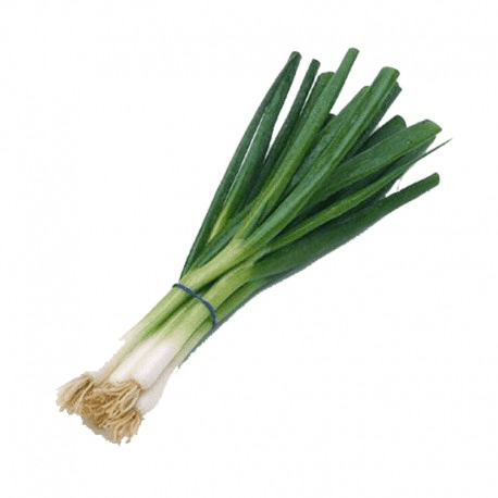 Cebolla Larga 1 Atado